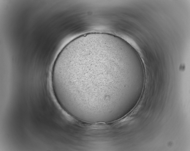 X0000102341440200808151718