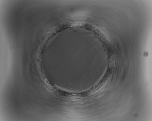 X0000102341441200808151717