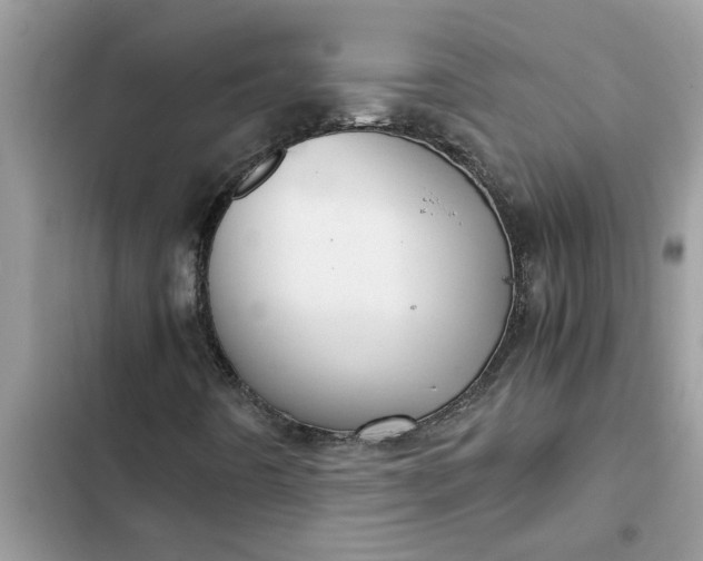 X0000102341442200808151717