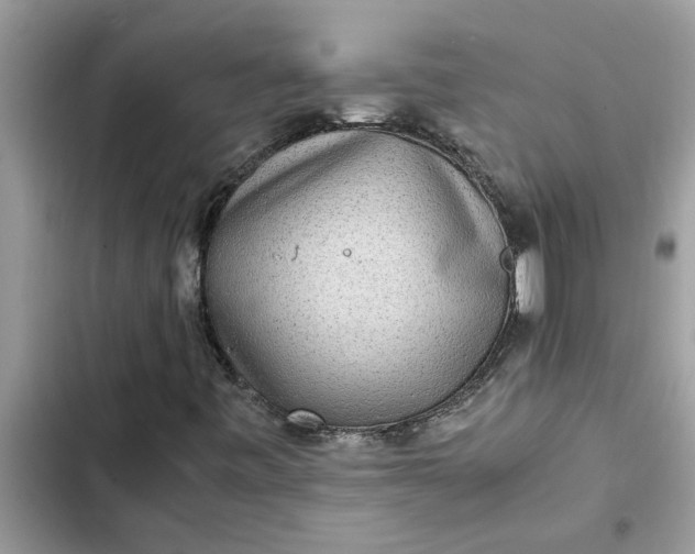 X0000102341443200808151717