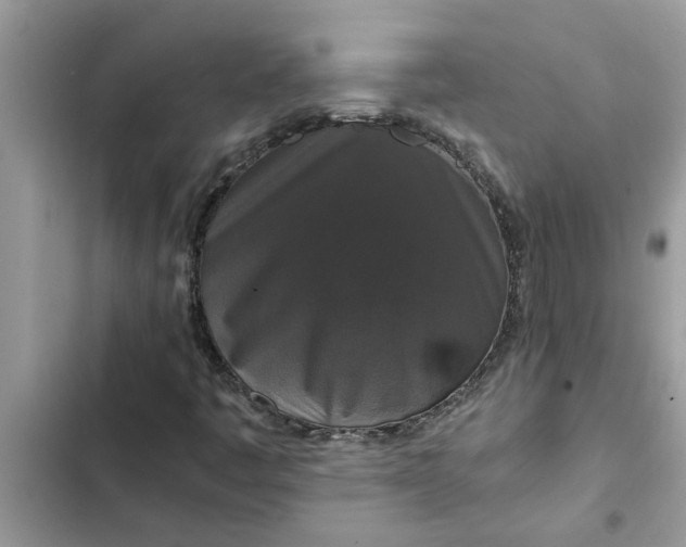 X0000102341445200808151717