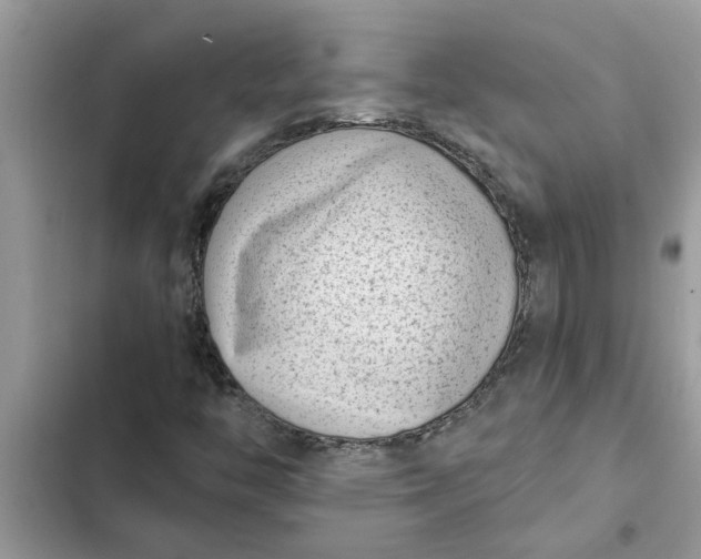 X0000102341446200808151717