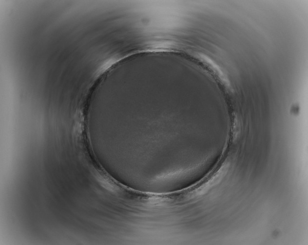 X0000102341449200808151717