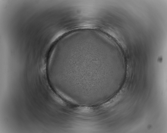 X0000102341450200808151717