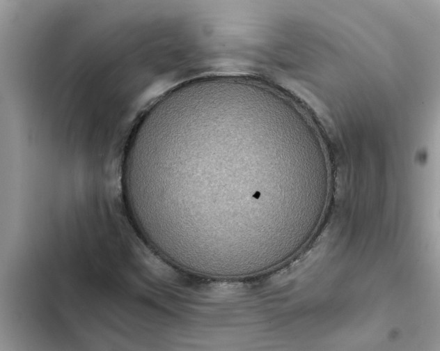 X0000102341451200808151717