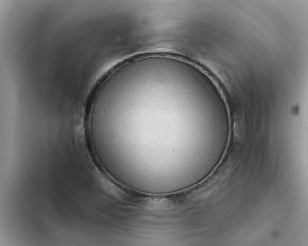 X0000102341452200808151717