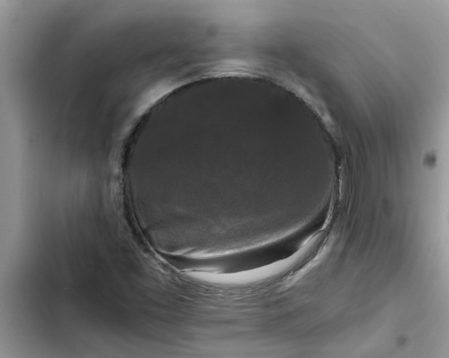 X0000102341453200808151717