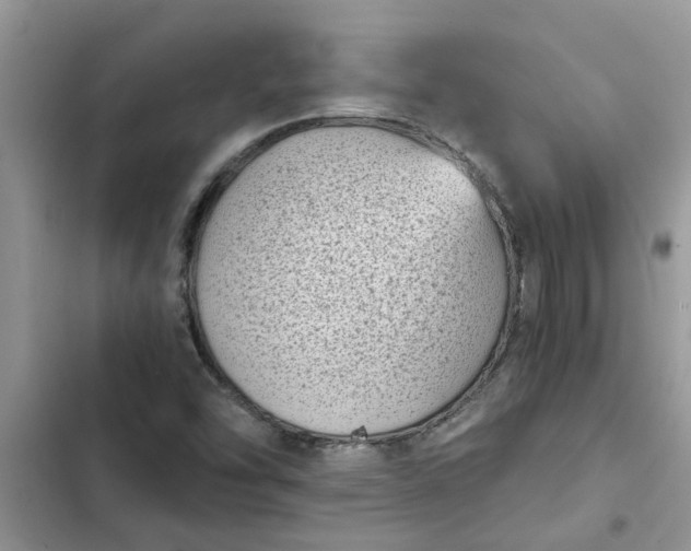 X0000102341454200808151717