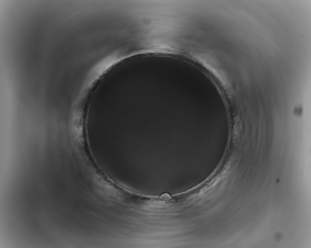 X0000102341455200808151717