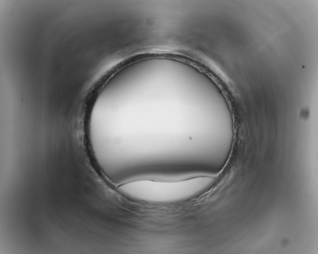 X0000102341456200808151717