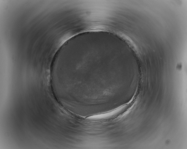 X0000102341457200808151717