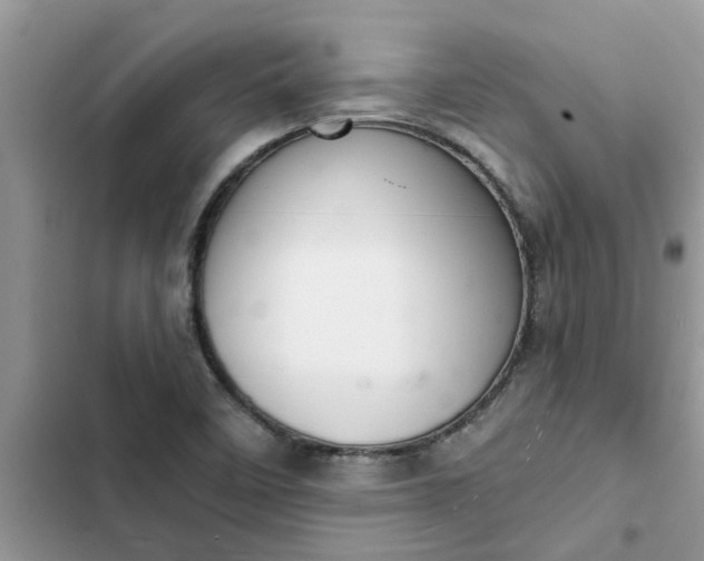 X0000102341458200808151717