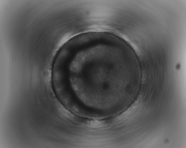 X0000102341459200808151717