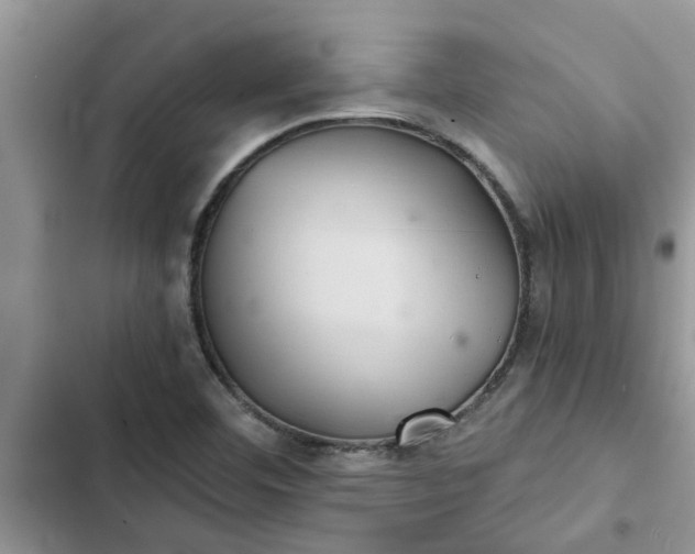 X0000102341460200808151717