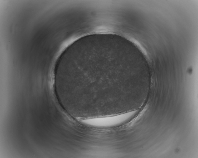 X0000102341461200808151717