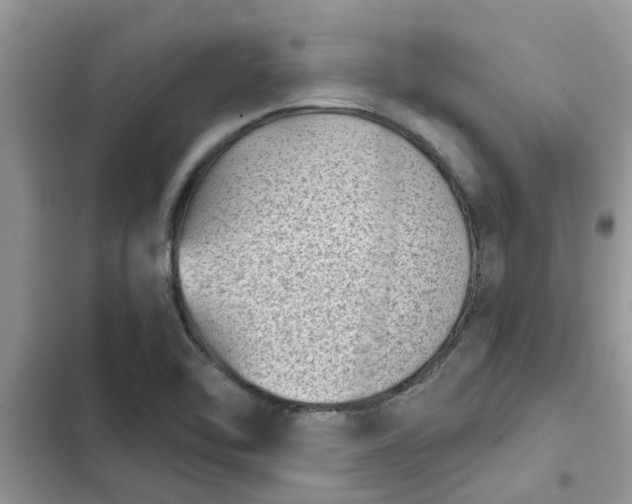 X0000102341462200808151717