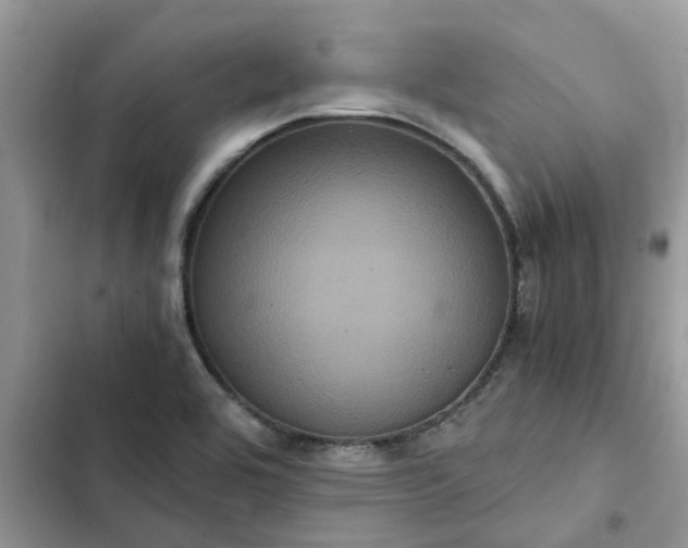 X0000102341464200808151717