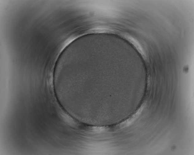 X0000102341465200808151717