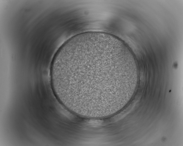 X0000102341466200808151717