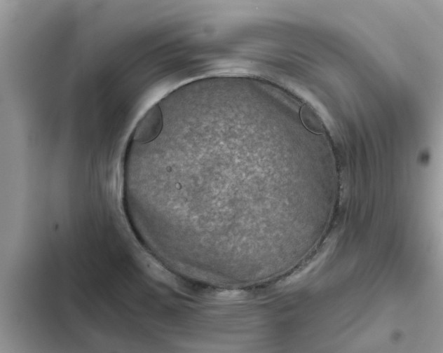 X0000102341467200808151717