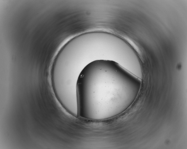 X0000102341468200808151717