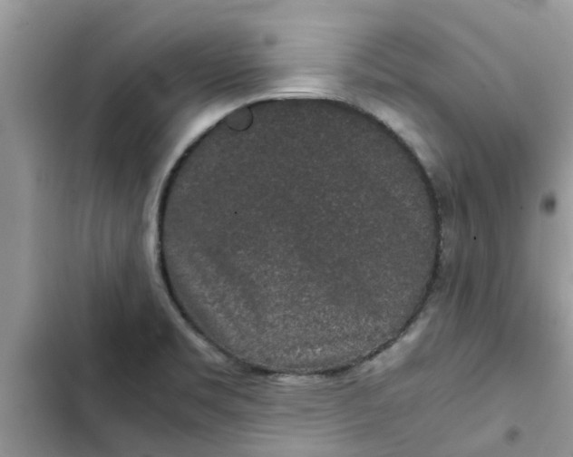 X0000102341469200808151717