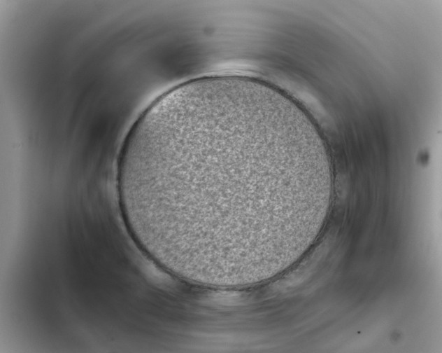 X0000102341470200808151717