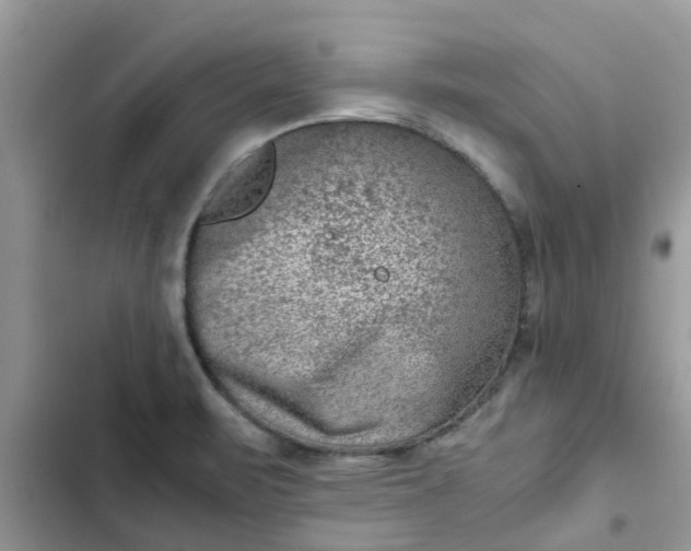 X0000102341471200808151717