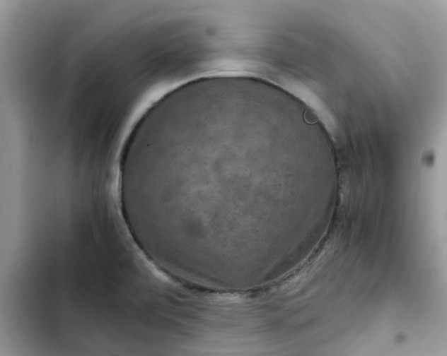 X0000102341472200808151717