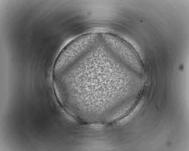 X0000102341473200808151717