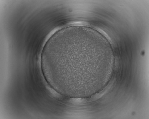 X0000102341474200808151717