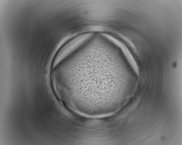 X0000102341475200808151717