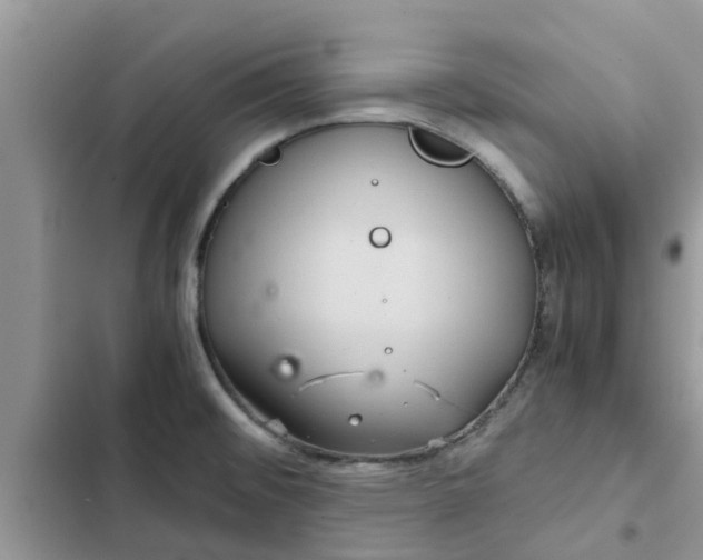 X0000102341476200808151717