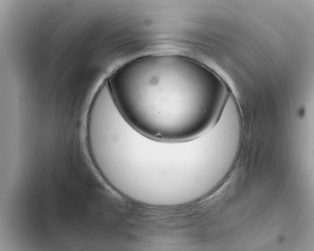 X0000102341477200808151717