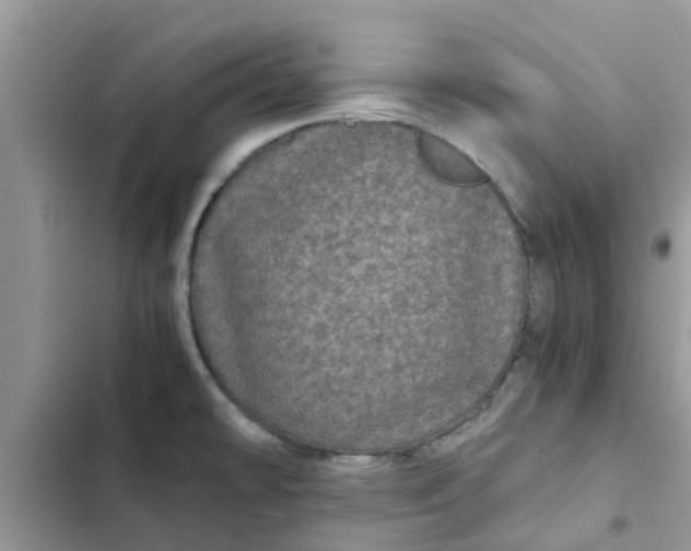 X0000102341478200808151717