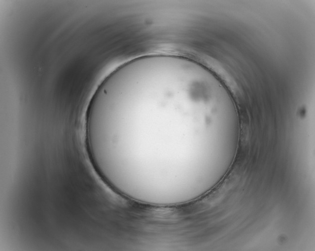 X0000102341479200808151717