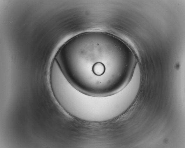 X0000102341480200808151717