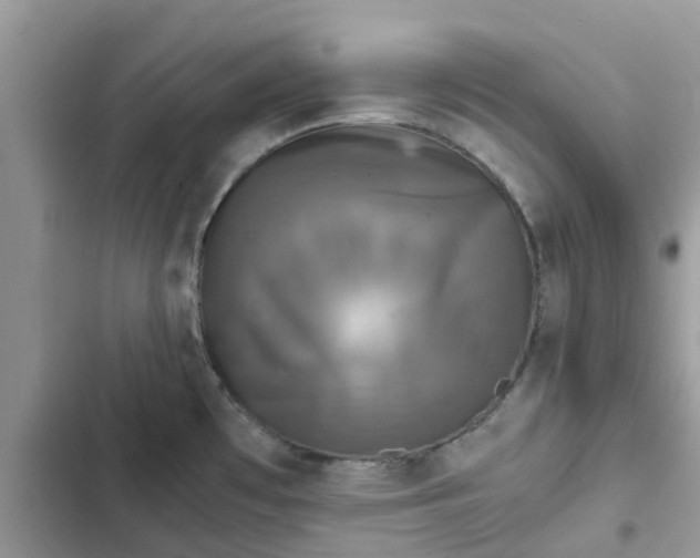 X0000102341481200808151717