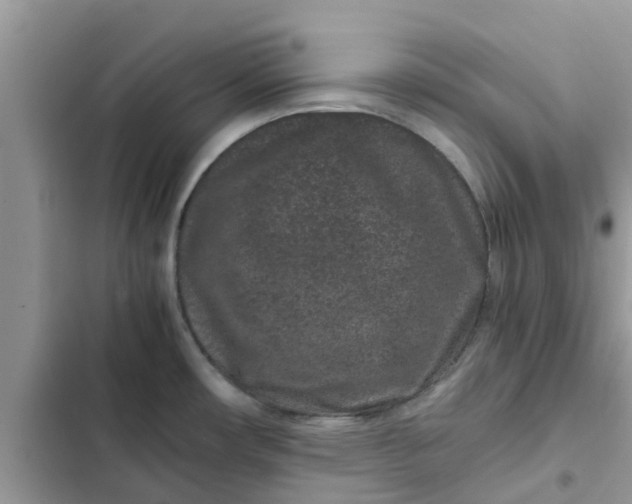 X0000102341482200808151717