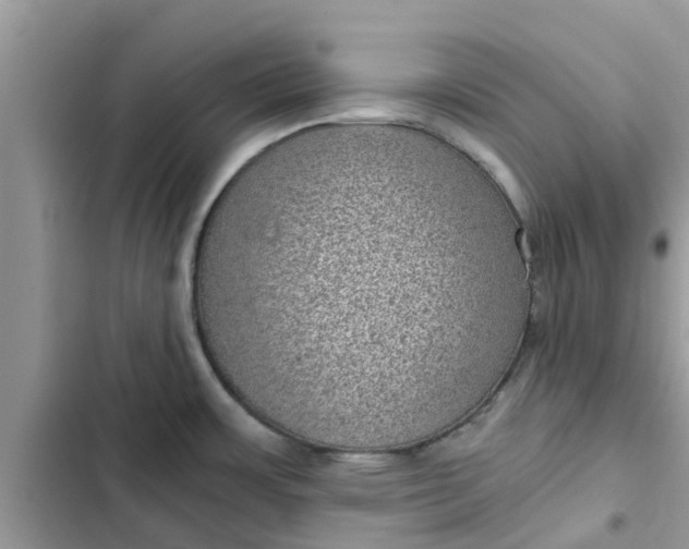 X0000102341483200808151717