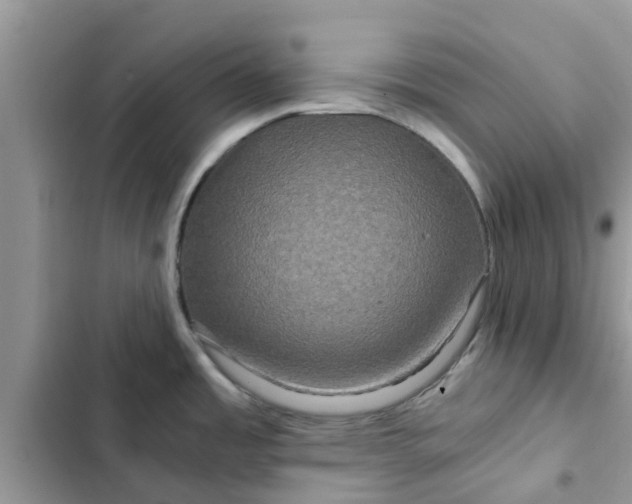 X0000102341485200808151717