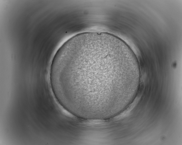 X0000102341486200808151717