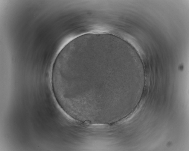 X0000102341487200808151717