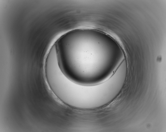 X0000102341488200808151717