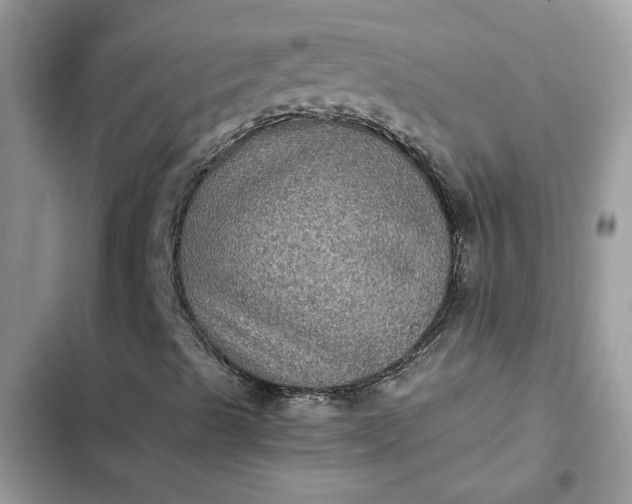 X0000102341489200808151716