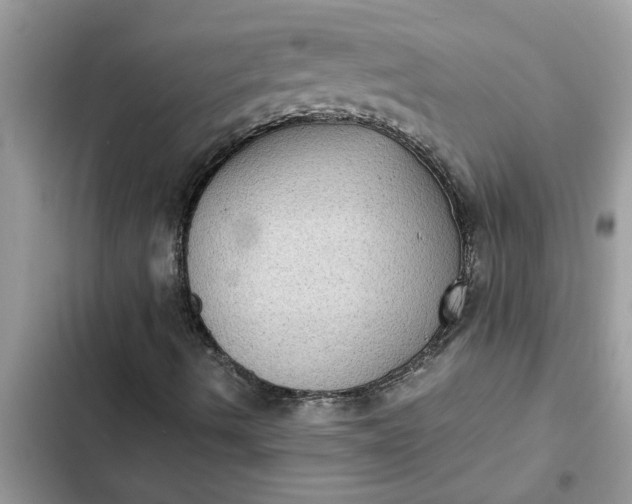 X0000102341490200808151716