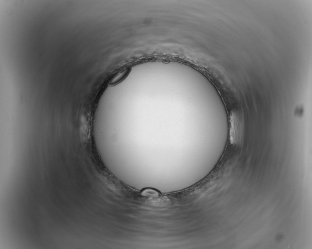 X0000102341491200808151716