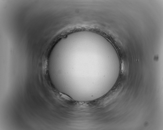 X0000102341492200808151716