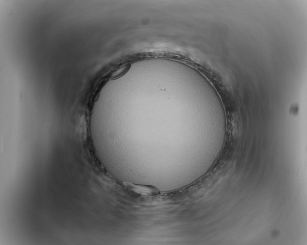 X0000102341493200808151716