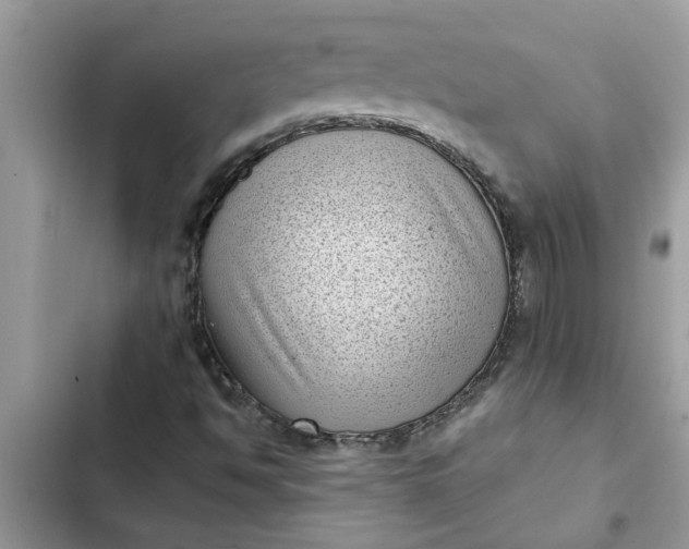 X0000102341494200808151716